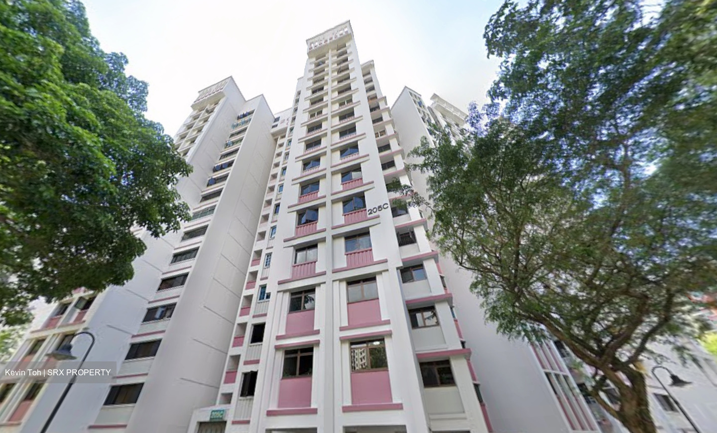 Blk 205C Compassvale Place (Sengkang), HDB 5 Rooms #628704561